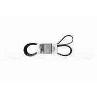 Pubert 0306030032 Ремень привода для Promo в Тюмени