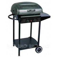 Гриль-барбекю газовый Green Glade RH-2210A в Тюмени