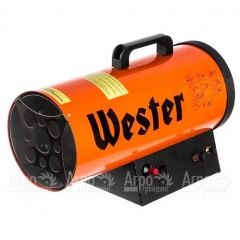 Газовая тепловая пушка Wester TG-20 в Тюмени