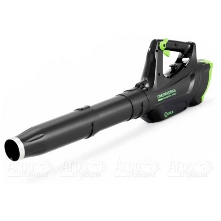 Воздуходувка аккумуляторная GreenWorks GC82BLK5  в Тюмени
