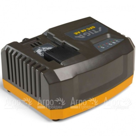 Зарядное устройство Stiga SFC 48 AE в Тюмени