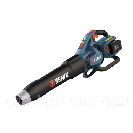 Воздуходувка аккумуляторная Senix BLAX2-M2-EU в Тюмени