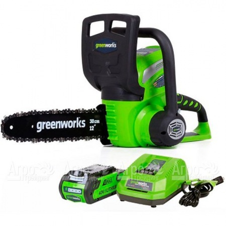 Аккумуляторная пила GreenWorks G40CS30II-12" 4 Ач в Тюмени