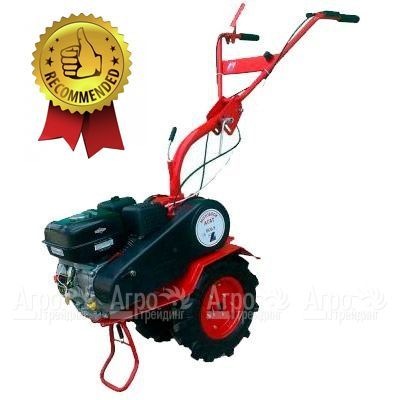 Мотоблок Агат БС-6.5 с двигателем Briggs&#38;Stratton RS 6.5 л.с. (фрезы в комплекте) в Тюмени