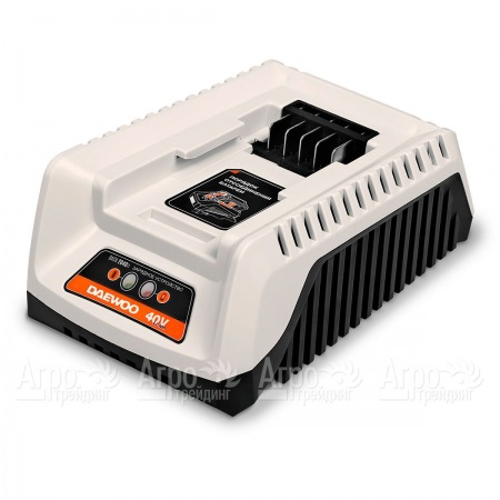 Универсальное зарядное устройство Daewoo DACH 2040Li в Тюмени