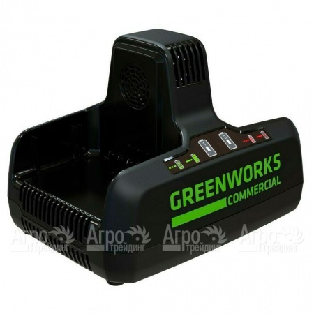 Быстрое зарядное устройство GreenWorks G82C2  в Тюмени