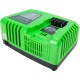 Быстрое зарядное устройство Greenworks G40UC5 в Тюмени