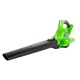 Воздуходувка аккумуляторная GreenWorks GD40BVK6 в Тюмени